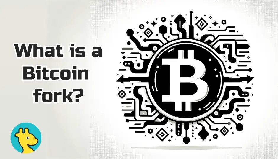 Bitcoin Fork History : what is A Bitcoin Fork